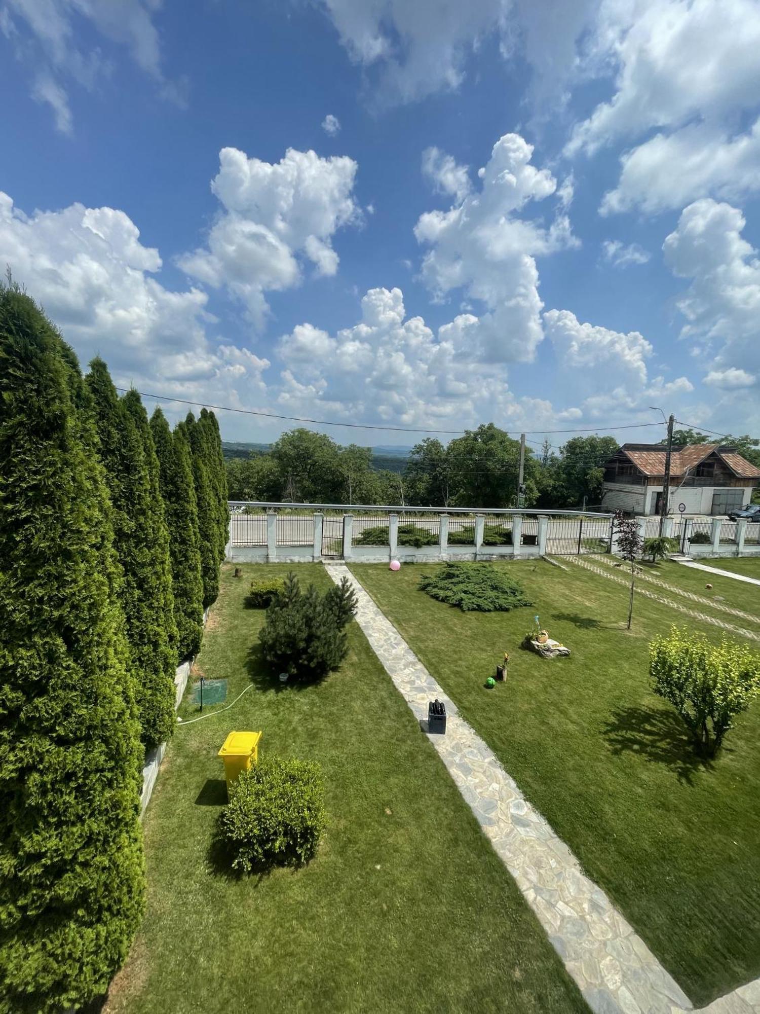 Pensiunea Cocosul De Munte Baia de Fier Buitenkant foto