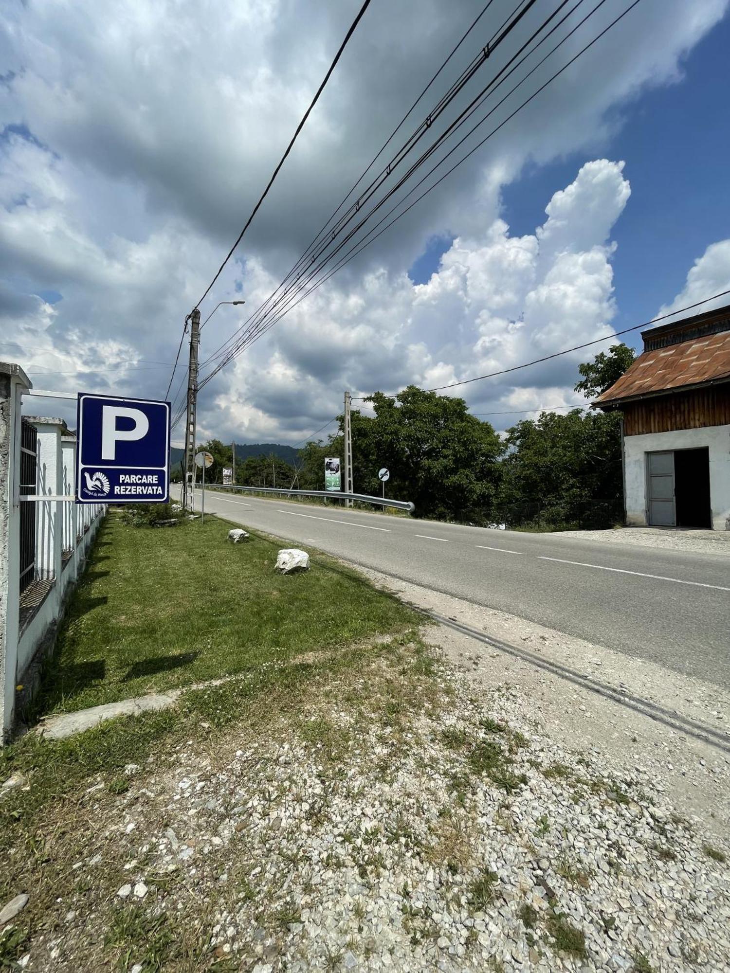 Pensiunea Cocosul De Munte Baia de Fier Buitenkant foto