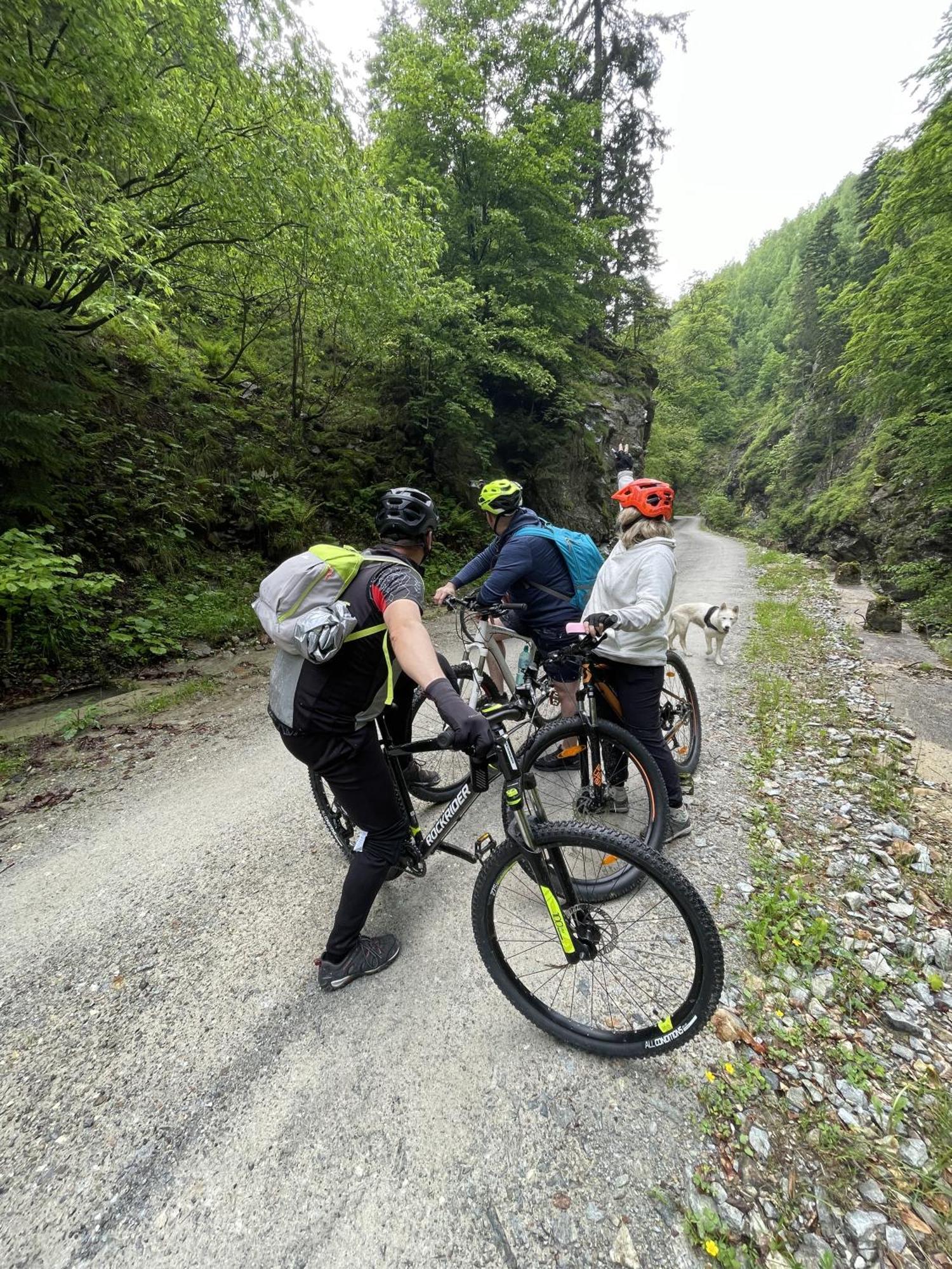 Pensiunea Cocosul De Munte Baia de Fier Buitenkant foto